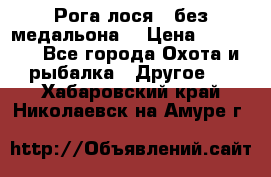 Рога лося , без медальона. › Цена ­ 15 000 - Все города Охота и рыбалка » Другое   . Хабаровский край,Николаевск-на-Амуре г.